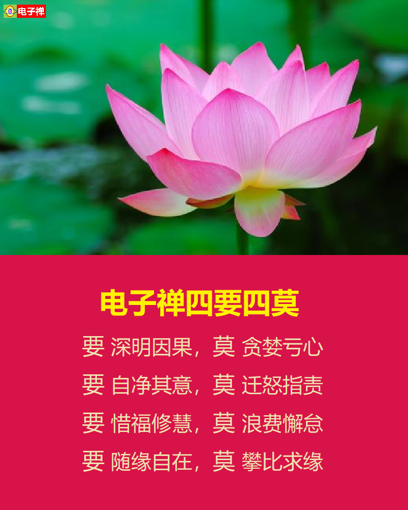 【电子禅意美图】